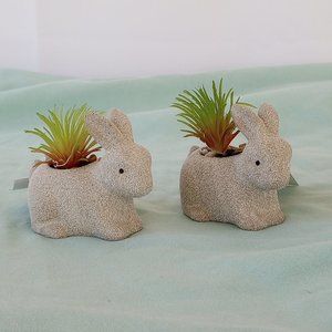 NWT     Two Ceramic Bunnies with Artificial Succulents-